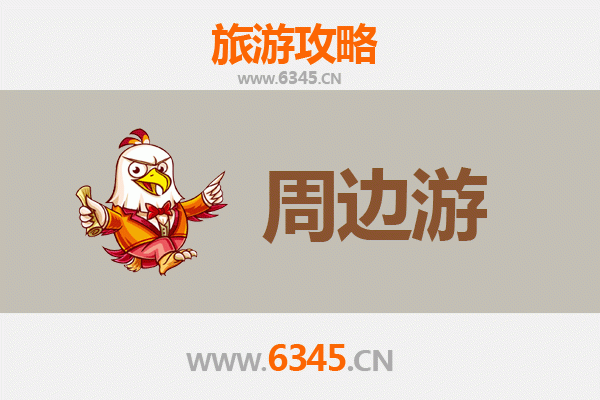 滨州无棣周边游攻略：探索鲁北风情，尽享自然人文之美